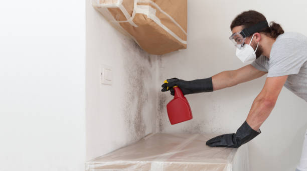 Attic Mold Remediation treatment on roof deck in Louisburg
